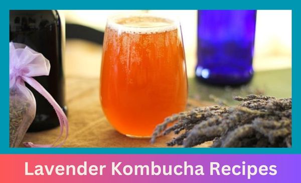 Lavender Kombucha Recipes
